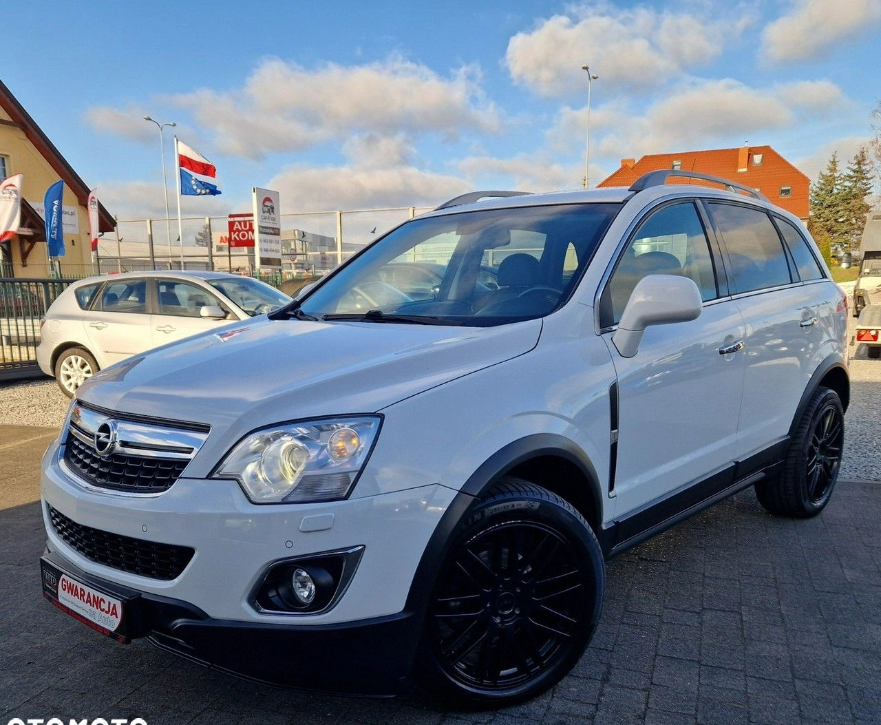 Opel Antara cena 29999 przebieg: 225000, rok produkcji 2011 z Krynica Morska małe 742